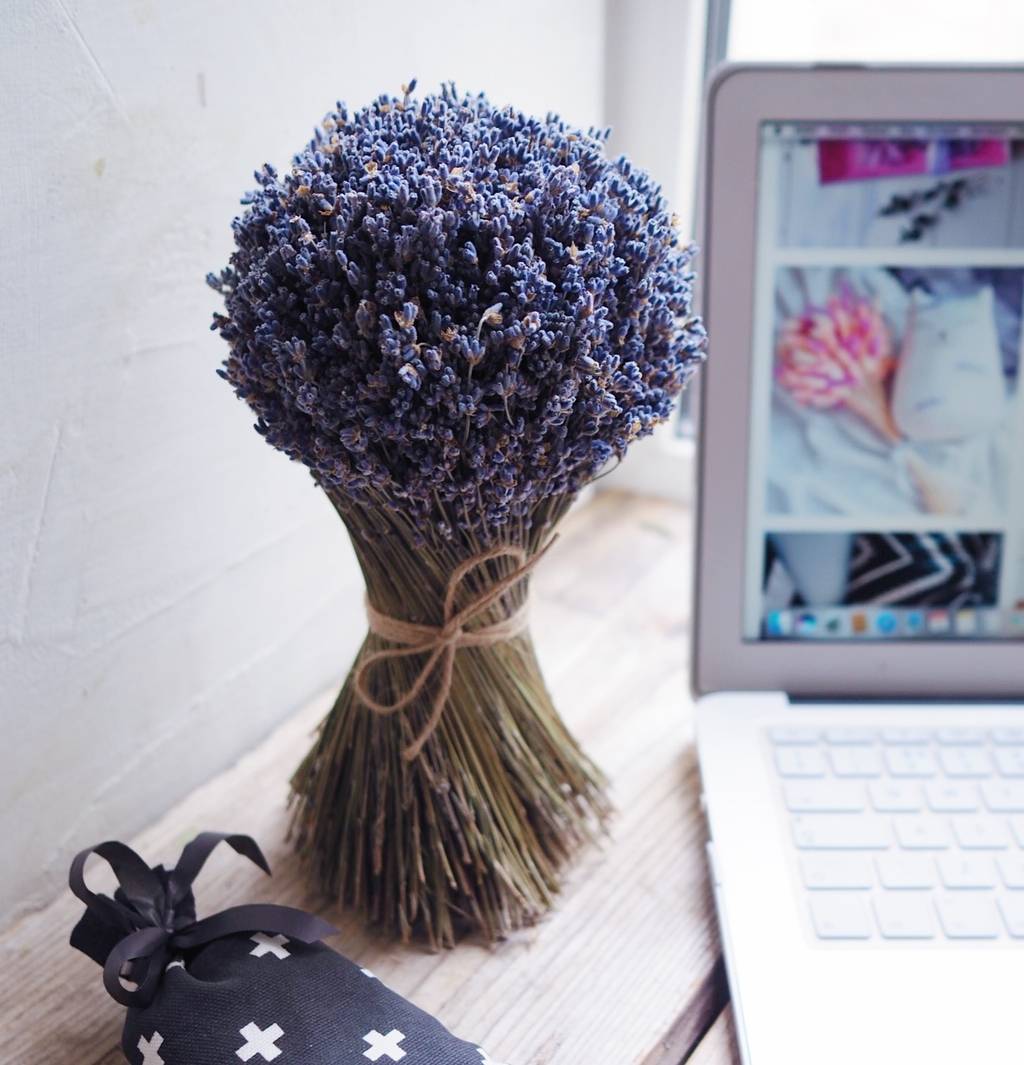 букет лаванды купить с доставкой
