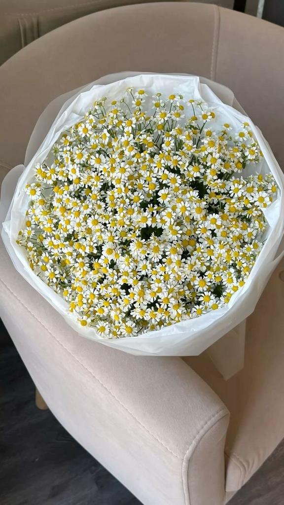 Ромашки мини