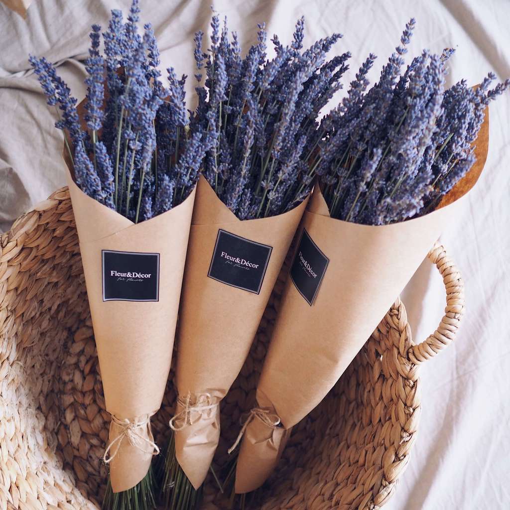 Лавандин итальянский с доставкой по Москве