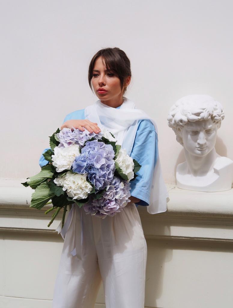 Гортензия Голландия