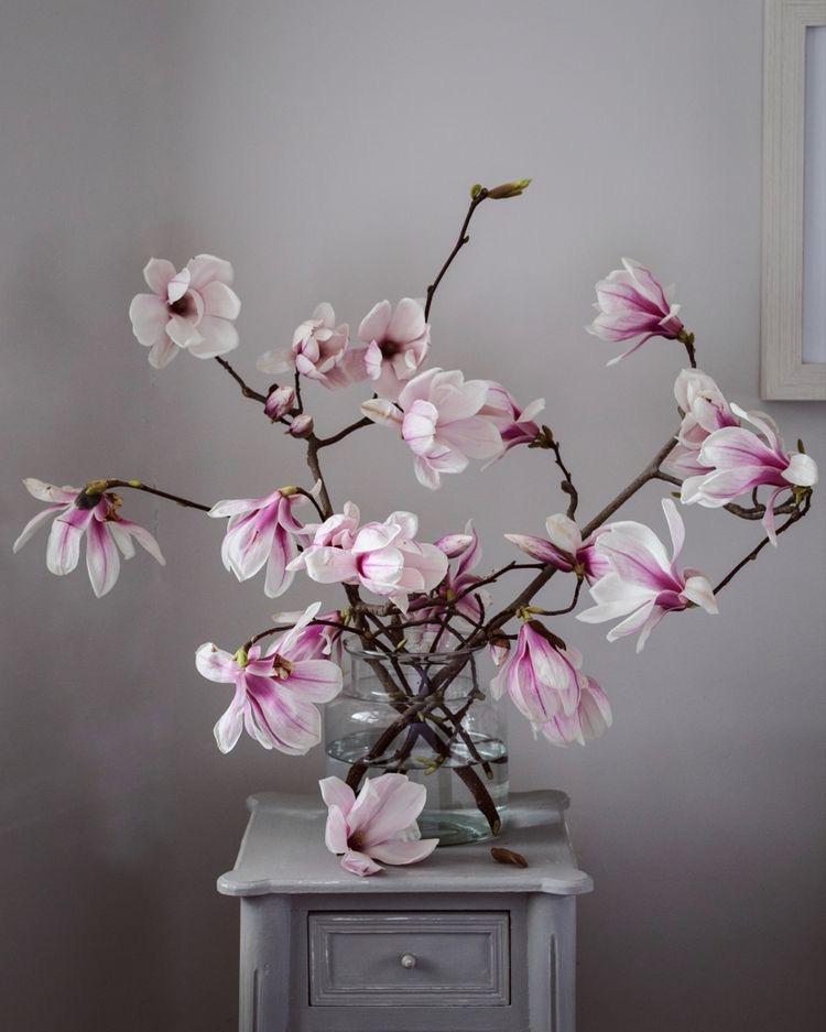 Ветки магнолии живые (закрытый бутон) предзаказ