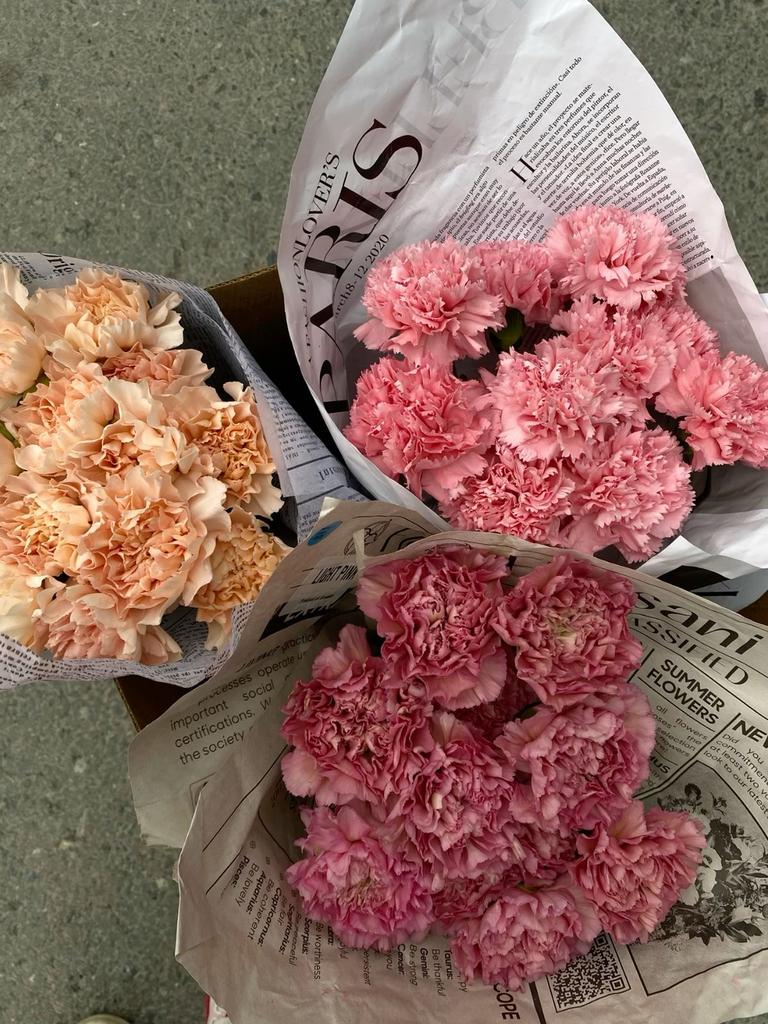 Диантусы в ассортименте