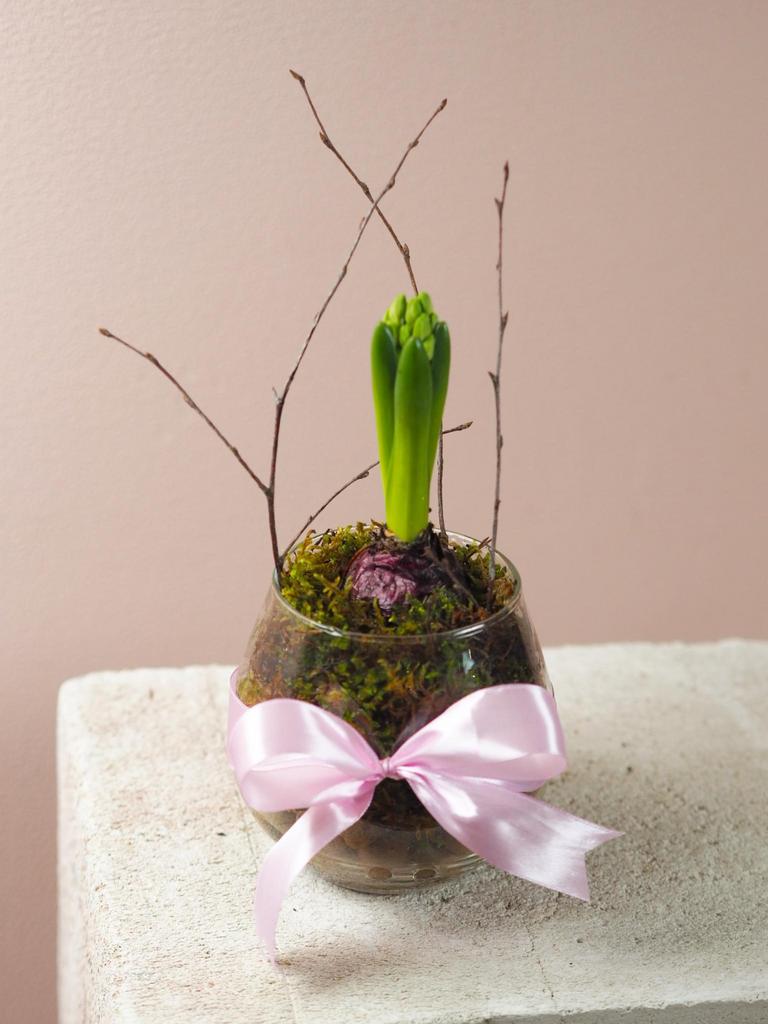 Гиацинт с вазой