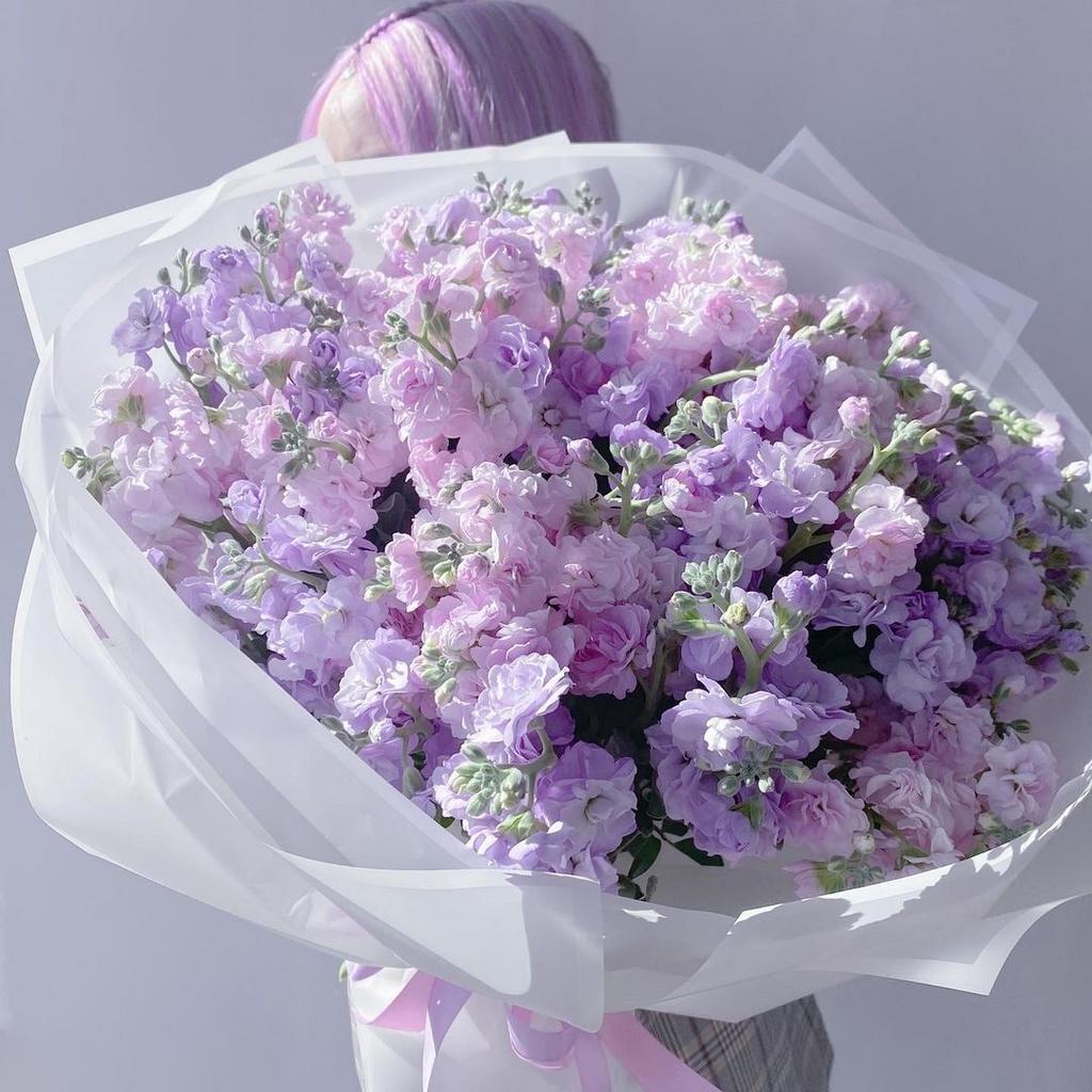 Маттиола в ассортименте