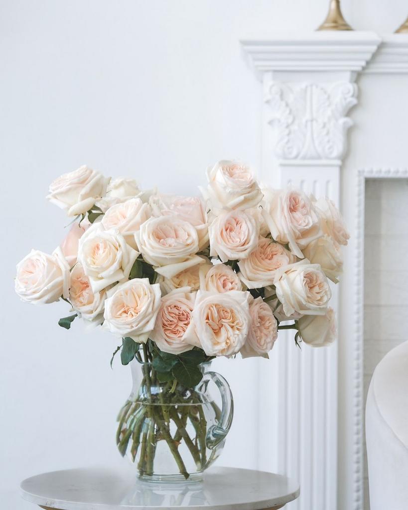 Ароматная роза