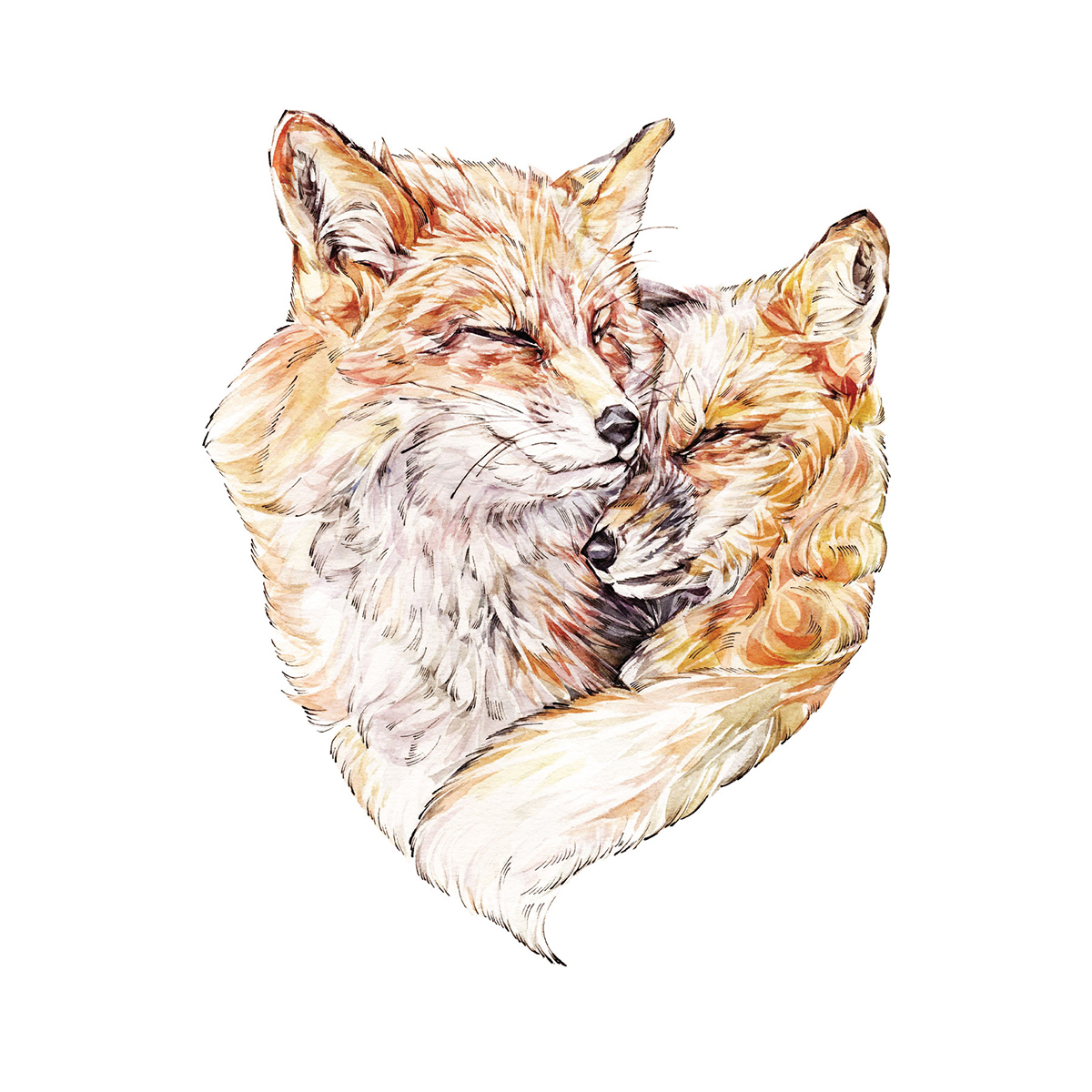 Открытка Две лисички