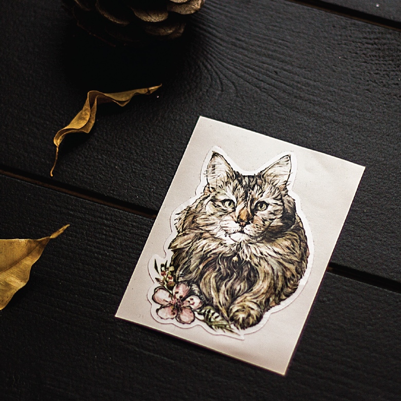 Виниловые наклейки кошки