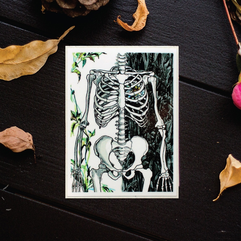 Скелет виниловые наклейки