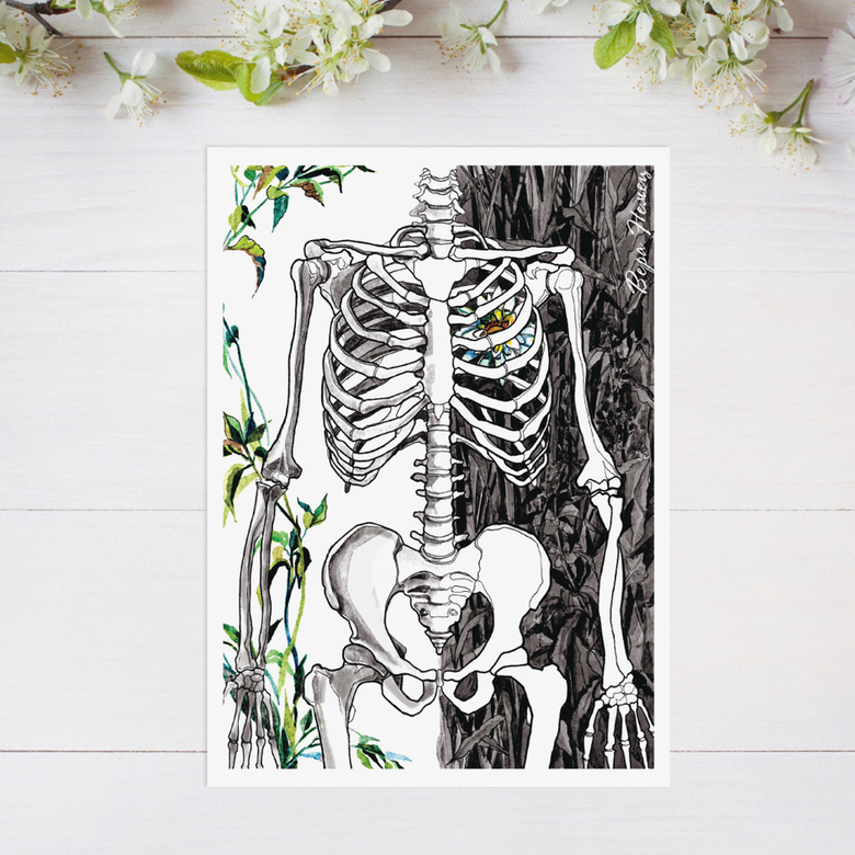 Наклейки на телефон скелет черепа