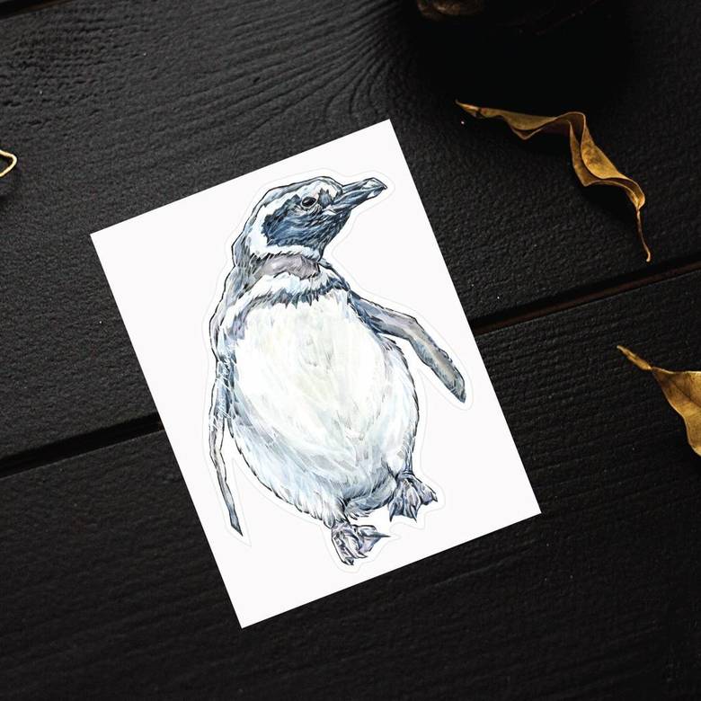 Пингвин стикеры