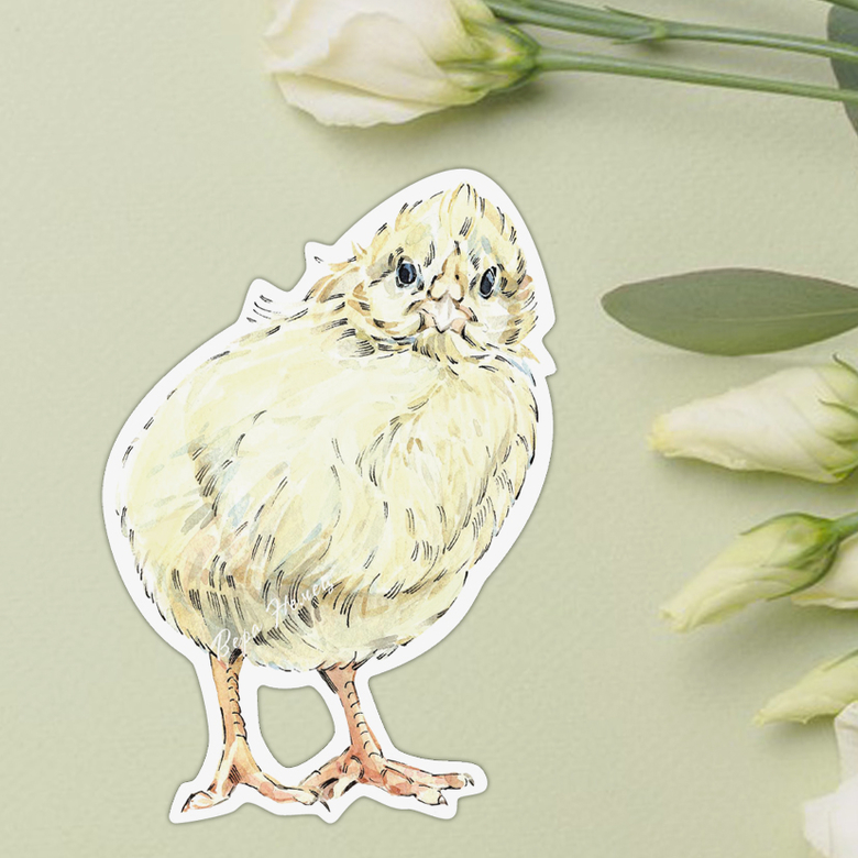 Детские наклейки цыпленок