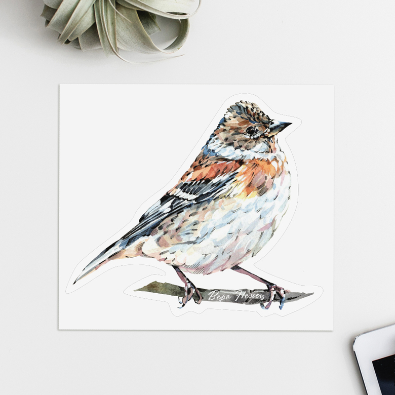 Виниловые наклейки птицы