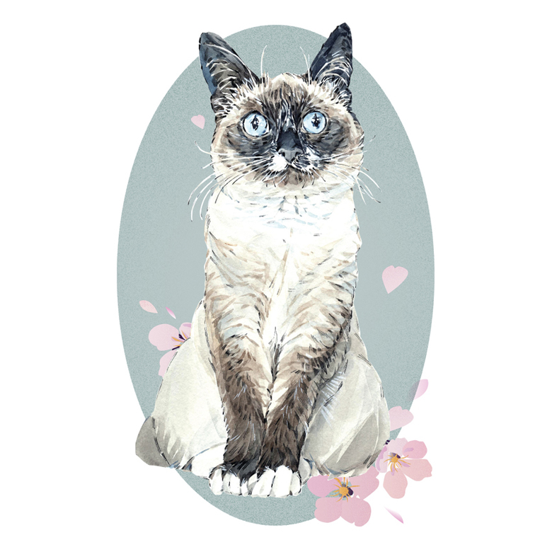 Открытки с котиками