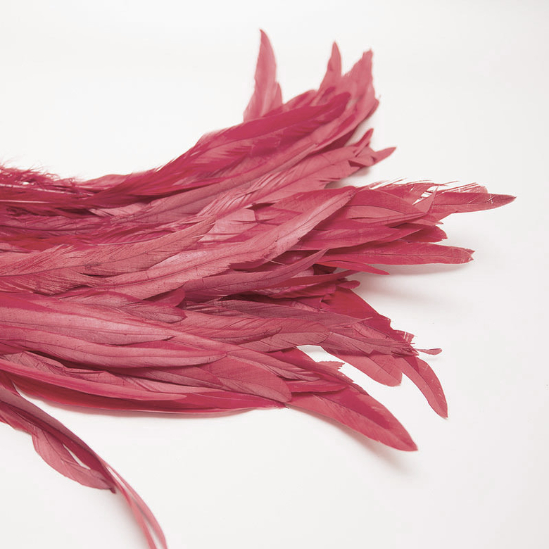 перья, перья птиц, перья для декора, перья для украшений, перья для шляп, перья для вуалеток, купить перья, купить перьяперья, перья птиц, перья для декора, перья для украшений, перья для шляп, перья для вуалеток, купить перья, купить перья спб, перья для отделки, перья для бижутерии, длинные перья,  бордовые перья, окрашенные перья
