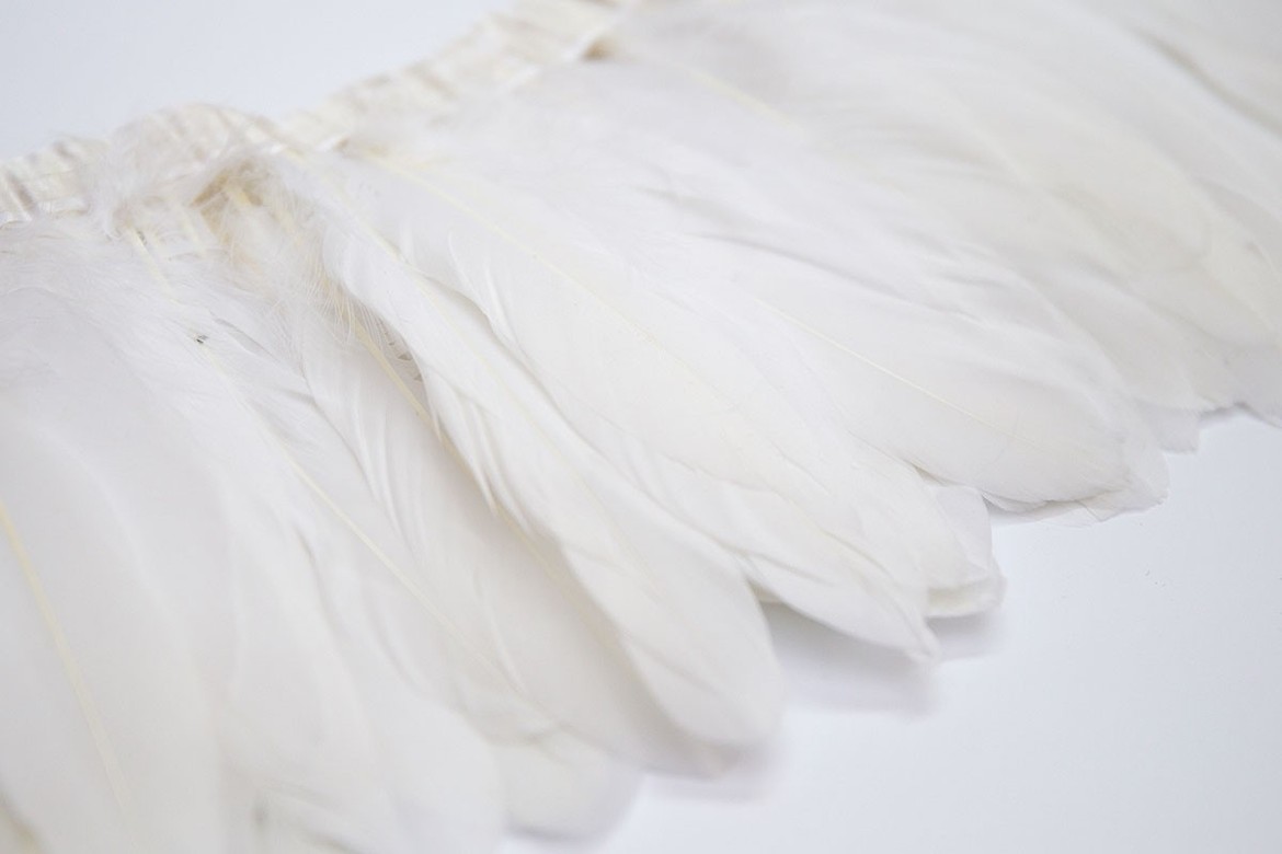 перья, перья птиц, перья гуся, перья на ленте, перья для декора, перья для украшений, перья для шляп, перья для вуалеток, купить перья, купить перьяперья, перья птиц, перья для декора, перья для украшений, перья для шляп, перья для вуалеток, купить перья, купить перья спб, перья для отделки, перья для бижутерии, длинные перья, белые перья, окрашенные перья, перья на ленте, белые перья гуся на ленте, голубые перья