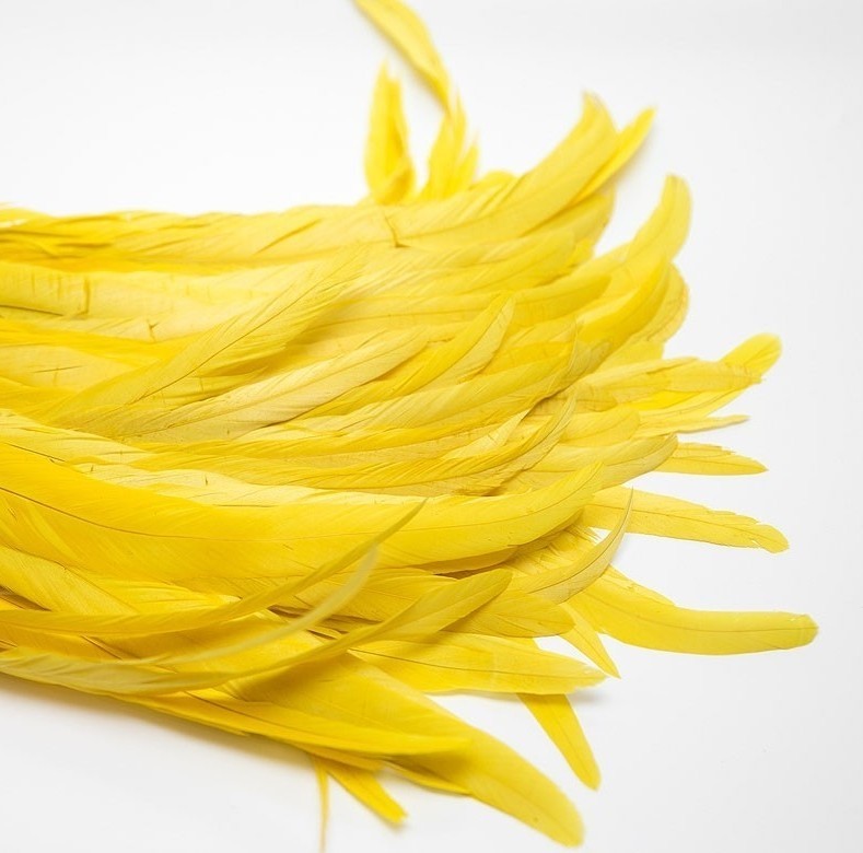 перья, перья птиц, перья для декора, перья для украшений, перья для шляп, перья для вуалеток, купить перья, купить перья спб, перья для отделки, перья для бижутерии, длинные перья, желтые перья, окрашенные перья
