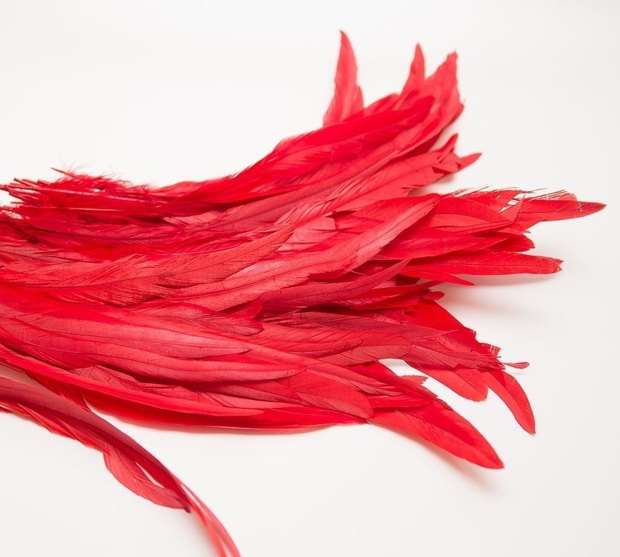 перья, перья птиц, перья для декора, перья для украшений, перья для шляп, перья для вуалеток, купить перья, купить перьяперья, перья птиц, перья для декора, перья для украшений, перья для шляп, перья для вуалеток, купить перья, купить перья спб, перья для отделки, перья для бижутерии, длинные перья, красные перья, окрашенные перья