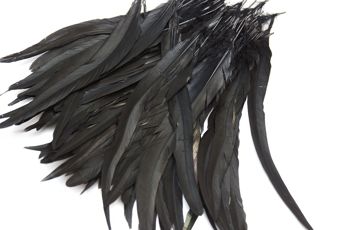 перья, перья птиц, перья для декора, перья для украшений, перья для шляп, перья для вуалеток, купить перья, купить перьяперья, перья птиц, перья для декора, перья для украшений, перья для шляп, перья для вуалеток, купить перья, купить перья спб, перья для отделки, перья для бижутерии, длинные перья, черные перья, окрашенные перья