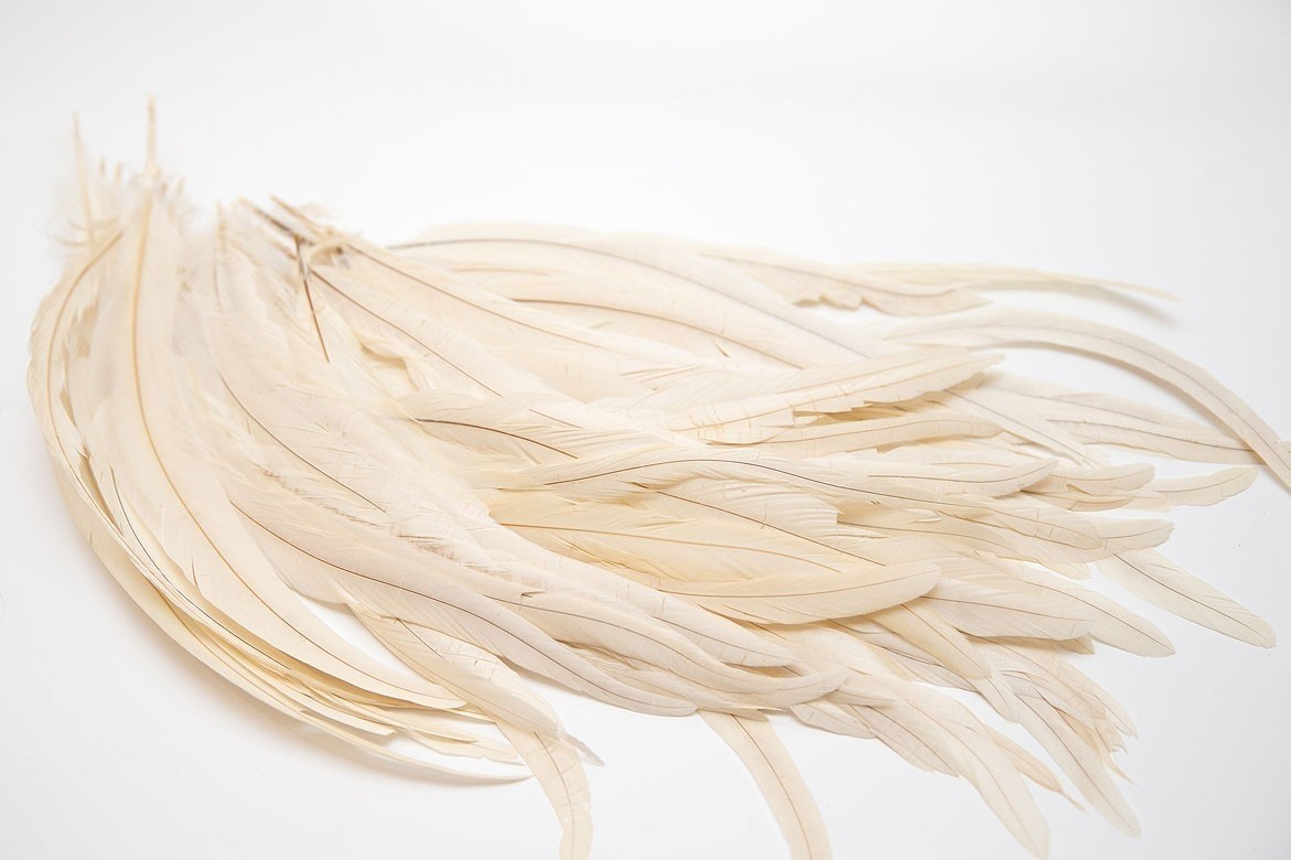 перья, перья птиц, перья для декора, перья для украшений, перья для шляп, перья для вуалеток, купить перья, купить перьяперья, перья птиц, перья для декора, перья для украшений, перья для шляп, перья для вуалеток, купить перья, купить перья спб, перья для отделки, перья для бижутерии, длинные перья,  зеленые перья, окрашенные перья