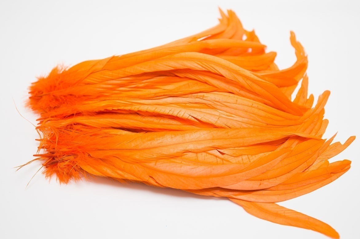 перья, перья птиц, перья для декора, перья для украшений, перья для шляп, перья для вуалеток, купить перья, купить перьяперья, перья птиц, перья для декора, перья для украшений, перья для шляп, перья для вуалеток, купить перья, купить перья спб, перья для отделки, перья для бижутерии, длинные перья,  зеленые перья, окрашенные перья