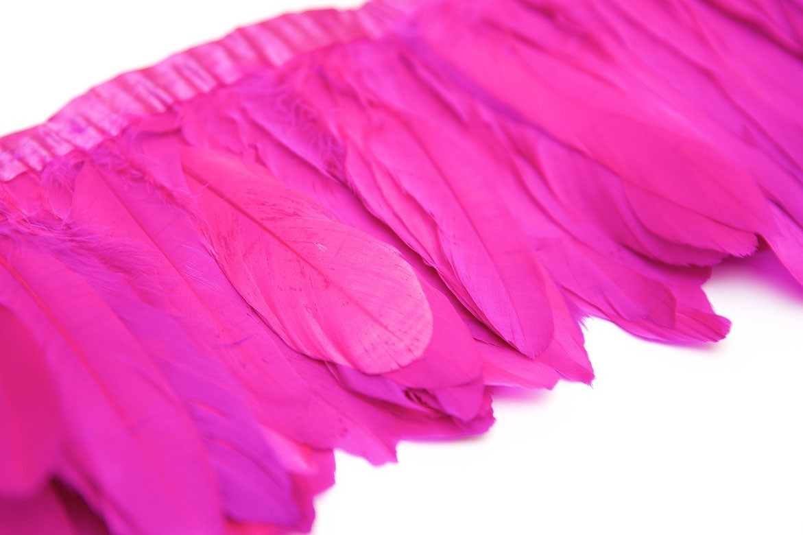 перья, перья птиц, перья гуся, перья на ленте, перья для декора, перья для украшений, перья для шляп, перья для вуалеток, купить перья, купить перьяперья, перья птиц, перья для декора, перья для украшений, перья для шляп, перья для вуалеток, купить перья, купить перья спб, перья для отделки, перья для бижутерии, длинные перья, белые перья, окрашенные перья, перья на ленте, белые перья гуся на ленте, фуксия перья