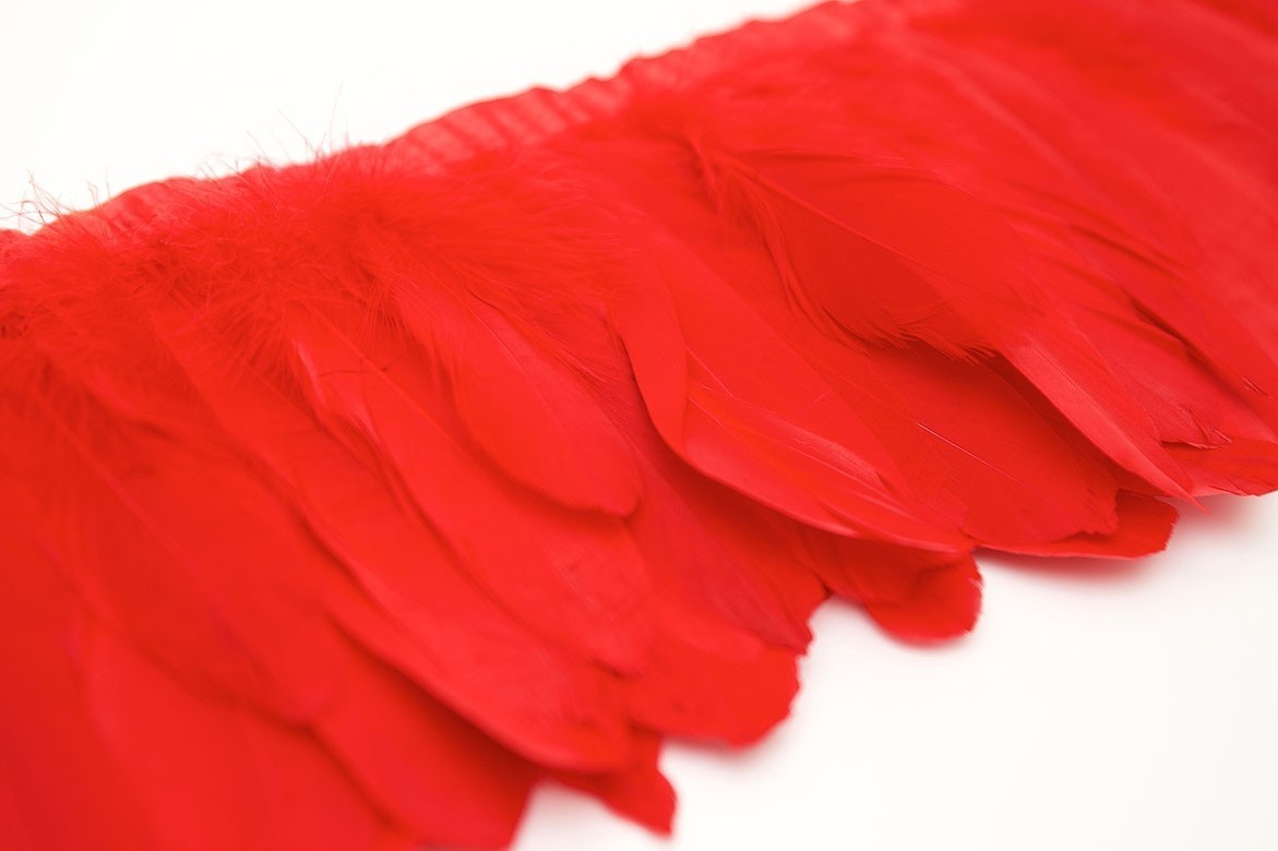 перья, перья птиц, перья гуся, перья на ленте, перья для декора, перья для украшений, перья для шляп, перья для вуалеток, купить перья, купить перьяперья, перья птиц, перья для декора, перья для украшений, перья для шляп, перья для вуалеток, купить перья, купить перья спб, перья для отделки, перья для бижутерии, длинные перья, белые перья, окрашенные перья, перья на ленте, белые перья гуся на ленте, красные перья