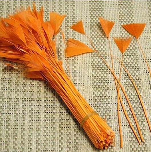 перья, перья птиц, перья гуся, перья на ножке, перья для декора, перья для украшений, перья для шляп, перья для вуалеток, купить перья, купить перьяперья, перья птиц, перья для декора, перья для украшений, перья для шляп, перья для вуалеток, купить перья, купить перья спб, перья для отделки, перья для бижутерии, длинные перья, оранжевые перья, окрашенные перья