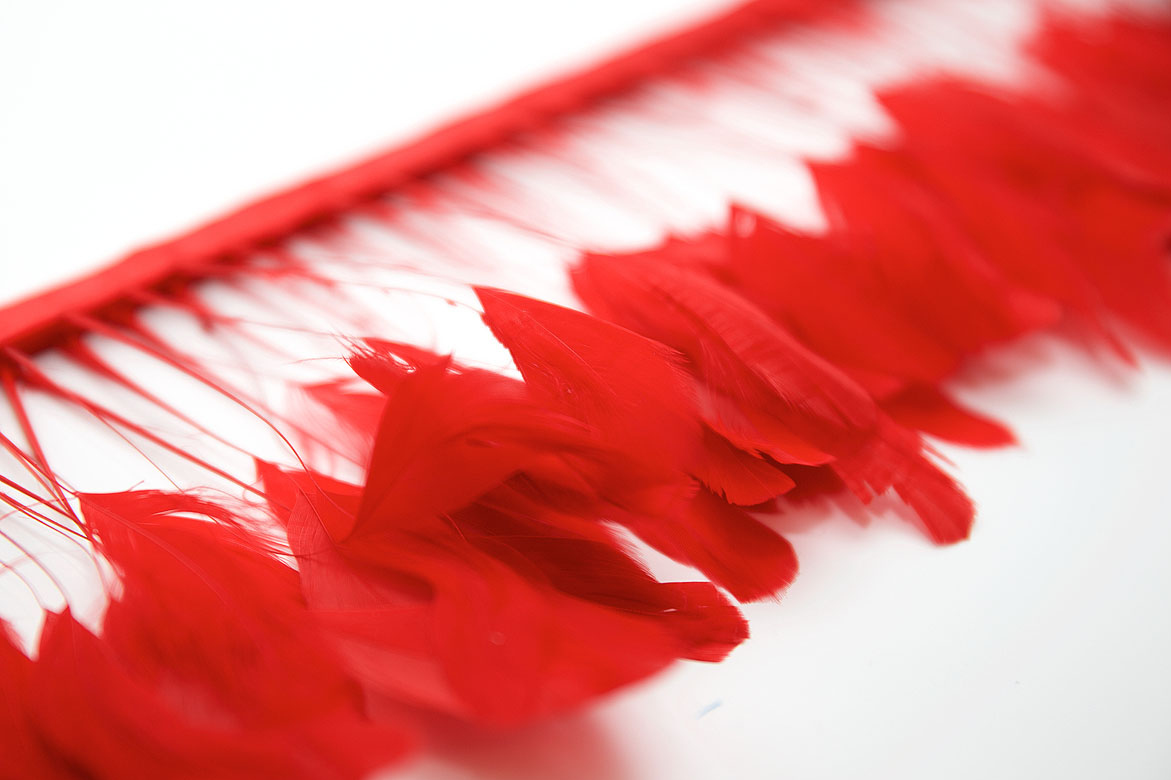 перья, перья птиц, перья гуся, перья петуха,  перья на ножке, перья для декора, перья для украшений, перья для шляп, перья для вуалеток, купить перья, купить перьяперья, перья птиц, перья для декора, перья для украшений, перья для шляп, перья для вуалеток, купить перья, купить перья спб, перья для отделки, перья для бижутерии, длинные перья,  красные перья, окрашенные перья