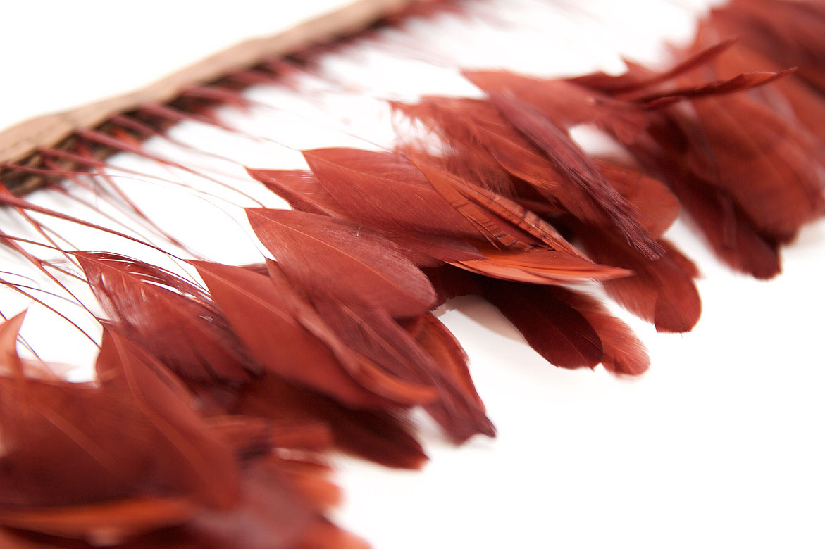 перья, перья птиц, перья гуся, перья петуха,  перья на ножке, перья для декора, перья для украшений, перья для шляп, перья для вуалеток, купить перья, купить перьяперья, перья птиц, перья для декора, перья для украшений, перья для шляп, перья для вуалеток, купить перья, купить перья спб, перья для отделки, перья для бижутерии, длинные перья,  коричневые перья, окрашенные перья