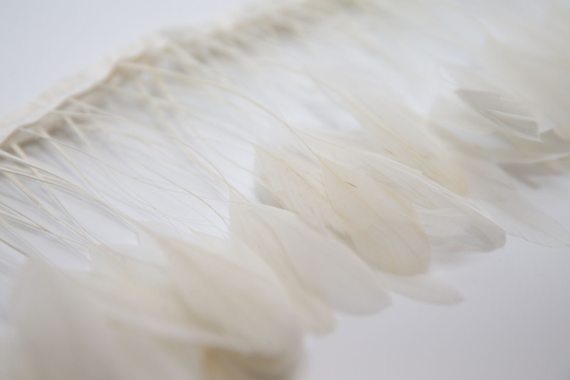 перья, перья птиц, перья гуся, перья петуха,  перья на ножке, перья для декора, перья для украшений, перья для шляп, перья для вуалеток, купить перья, купить перьяперья, перья птиц, перья для декора, перья для украшений, перья для шляп, перья для вуалеток, купить перья, купить перья спб, перья для отделки, перья для бижутерии, длинные перья,  белые перья, окрашенные перья