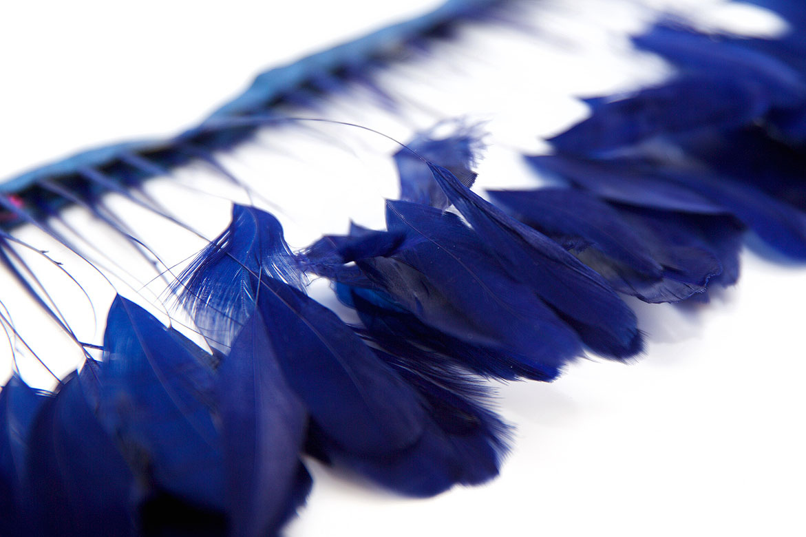 перья, перья птиц, перья гуся, перья петуха,  перья на ножке, перья для декора, перья для украшений, перья для шляп, перья для вуалеток, купить перья, купить перьяперья, перья птиц, перья для декора, перья для украшений, перья для шляп, перья для вуалеток, купить перья, купить перья спб, перья для отделки, перья для бижутерии, длинные перья,  темно-синие перья, окрашенные перья