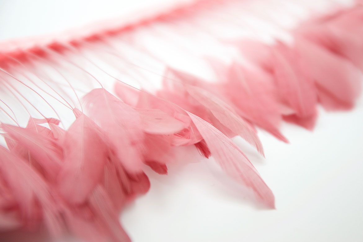 перья, перья птиц, перья гуся, перья петуха,  перья на ножке, перья для декора, перья для украшений, перья для шляп, перья для вуалеток, купить перья, купить перьяперья, перья птиц, перья для декора, перья для украшений, перья для шляп, перья для вуалеток, купить перья, купить перья спб, перья для отделки, перья для бижутерии, длинные перья,  розовые перья, окрашенные перья