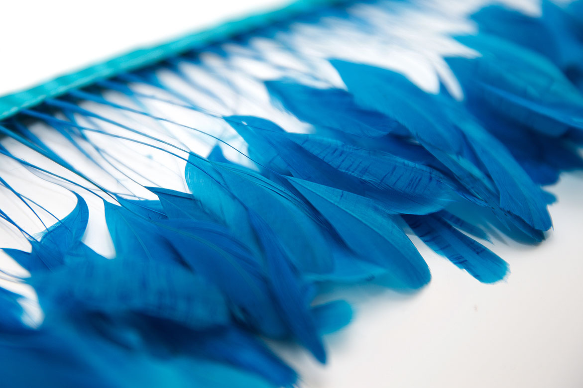 перья, перья птиц, перья гуся, перья петуха,  перья на ножке, перья для декора, перья для украшений, перья для шляп, перья для вуалеток, купить перья, купить перьяперья, перья птиц, перья для декора, перья для украшений, перья для шляп, перья для вуалеток, купить перья, купить перья спб, перья для отделки, перья для бижутерии, длинные перья,  синие перья, окрашенные перья