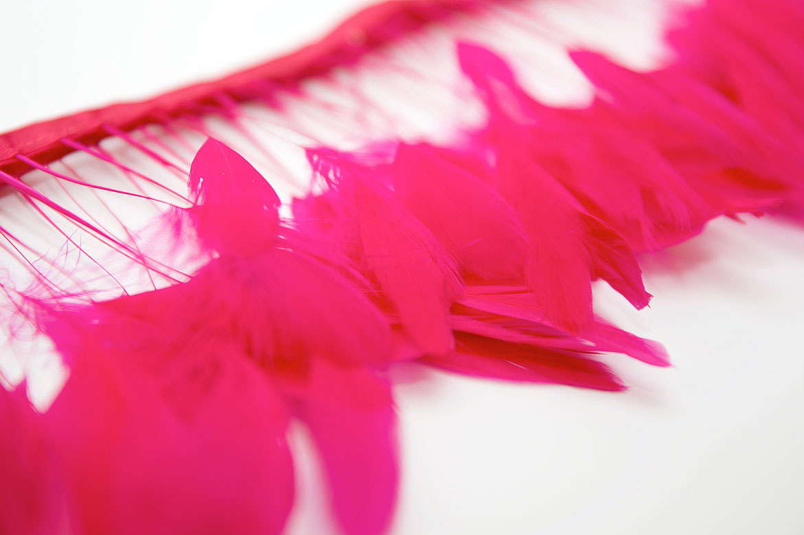 перья, перья птиц, перья гуся, перья петуха,  перья на ножке, перья для декора, перья для украшений, перья для шляп, перья для вуалеток, купить перья, купить перьяперья, перья птиц, перья для декора, перья для украшений, перья для шляп, перья для вуалеток, купить перья, купить перья спб, перья для отделки, перья для бижутерии, длинные перья,  фуксия перья, окрашенные перья
