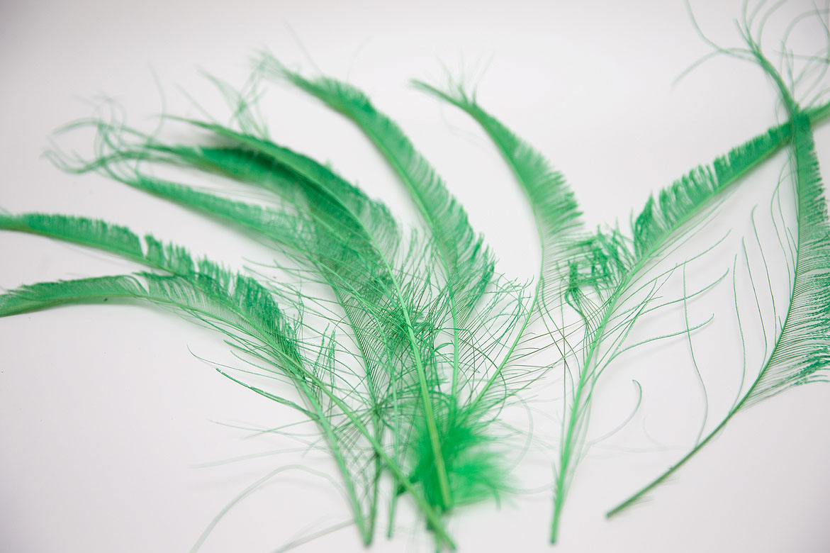 зеленый, зеленые перья, перья, перья птиц, перья для декора, перья для украшений, перья для отделки, перья для шляп, перья для шитья, перья павлина, павлин, перо павлина, купить перья, купить перья павлина, материалы для творчества, купить перья спб, материалы для украшений, материалы для шитья, материалы для шляп, перья натуральные, перья длинные , перья декоративные, перо павлина меч, перья окрашенные