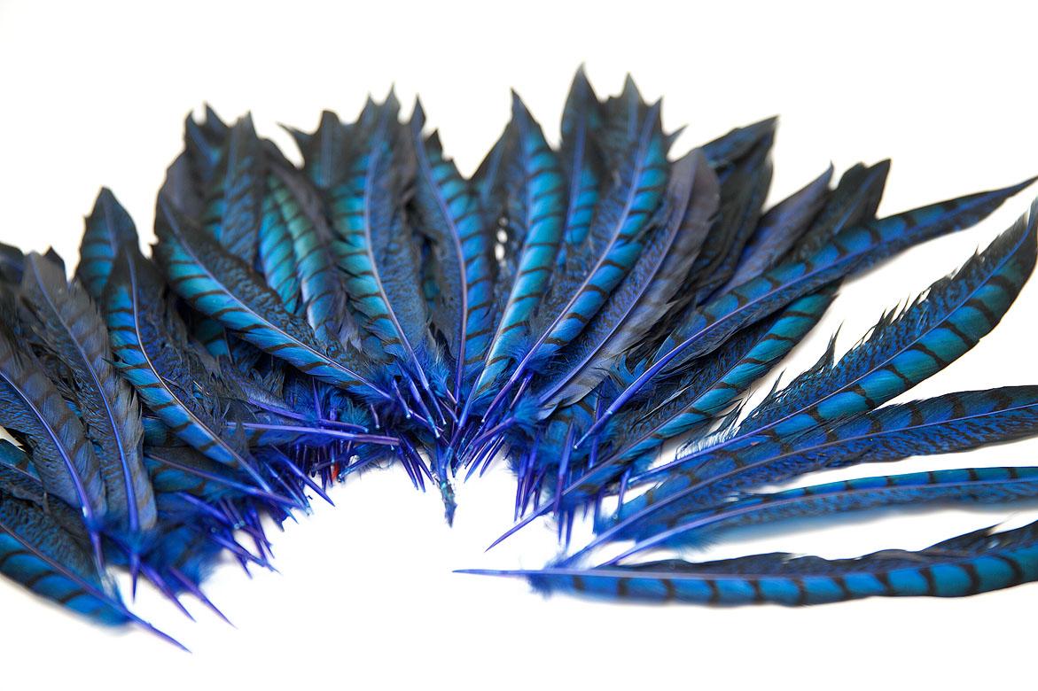 синий, синие перья, перья, перья птиц, перья для декора, перья для украшений, перья для отделки, перья для шляп, перья для шитья, перья фазана, фазан, перо фазана, купить перья, купить перья фазана,