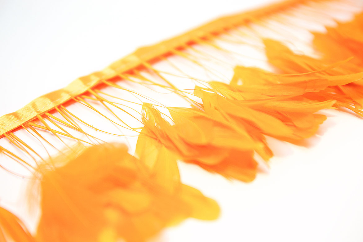 перья, перья птиц, перья гуся, перья петуха,  перья на ножке, перья для декора, перья для украшений, перья для шляп, перья для вуалеток, купить перья, купить перьяперья, перья птиц, перья для декора, перья для украшений, перья для шляп, перья для вуалеток, купить перья, купить перья спб, перья для отделки, перья для бижутерии, длинные перья,  оранжевые перья, окрашенные перья