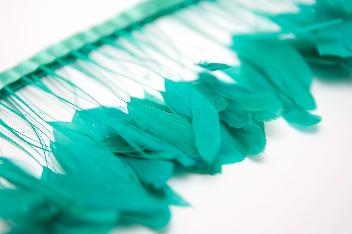 перья, перья птиц, перья гуся, перья петуха,  перья на ножке, перья для декора, перья для украшений, перья для шляп, перья для вуалеток, купить перья, купить перьяперья, перья птиц, перья для декора, перья для украшений, перья для шляп, перья для вуалеток, купить перья, купить перья спб, перья для отделки, перья для бижутерии, длинные перья,  мятные перья, окрашенные перья