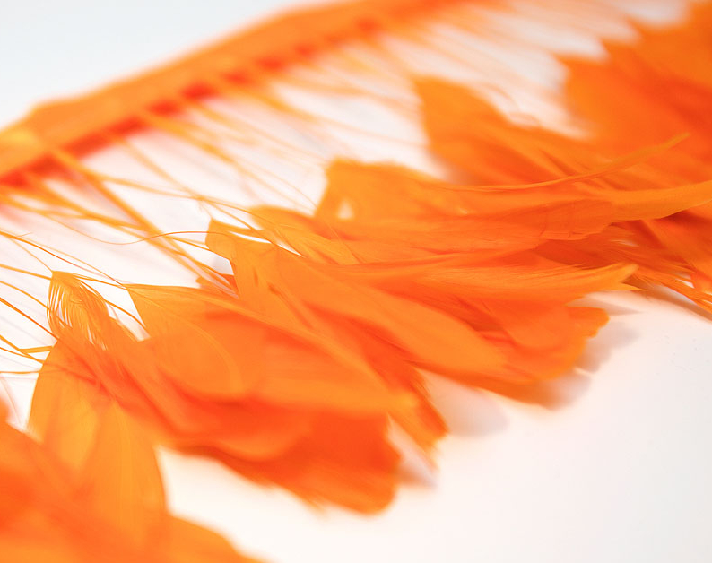 перья, перья птиц, перья гуся, перья петуха,  перья на ножке, перья для декора, перья для украшений, перья для шляп, перья для вуалеток, купить перья, купить перьяперья, перья птиц, перья для декора, перья для украшений, перья для шляп, перья для вуалеток, купить перья, купить перья спб, перья для отделки, перья для бижутерии, длинные перья,  рыжие перья, окрашенные перья