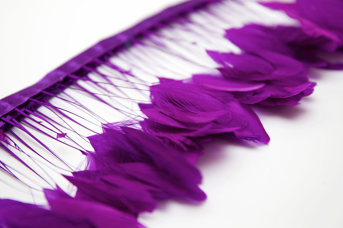 перья, перья птиц, перья гуся, перья петуха,  перья на ножке, перья для декора, перья для украшений, перья для шляп, перья для вуалеток, купить перья, купить перьяперья, перья птиц, перья для декора, перья для украшений, перья для шляп, перья для вуалеток, купить перья, купить перья спб, перья для отделки, перья для бижутерии, длинные перья,  фиолетовые перья, окрашенные перья