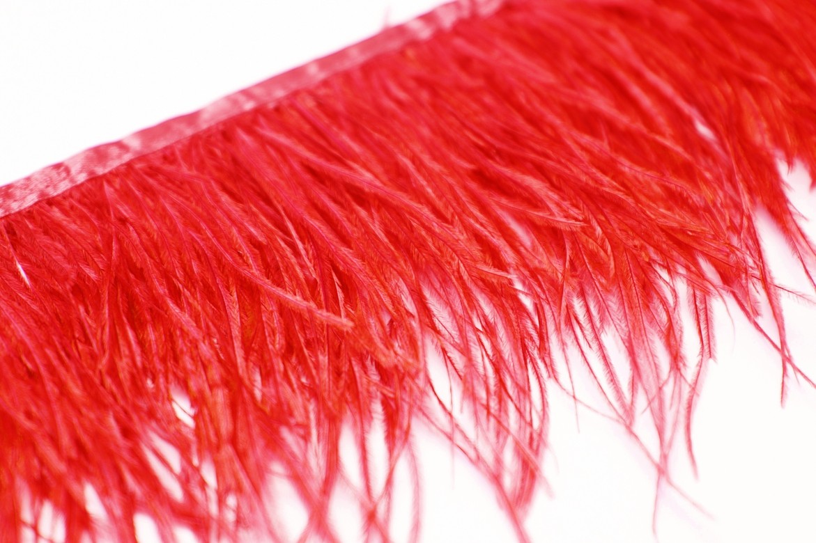 красные перья, купить перья страуса на ленте спб, перья для платья, перья для юбки, перья для окантовки, купить красные перья, страусиные перья, перья для декора, перья для костюма