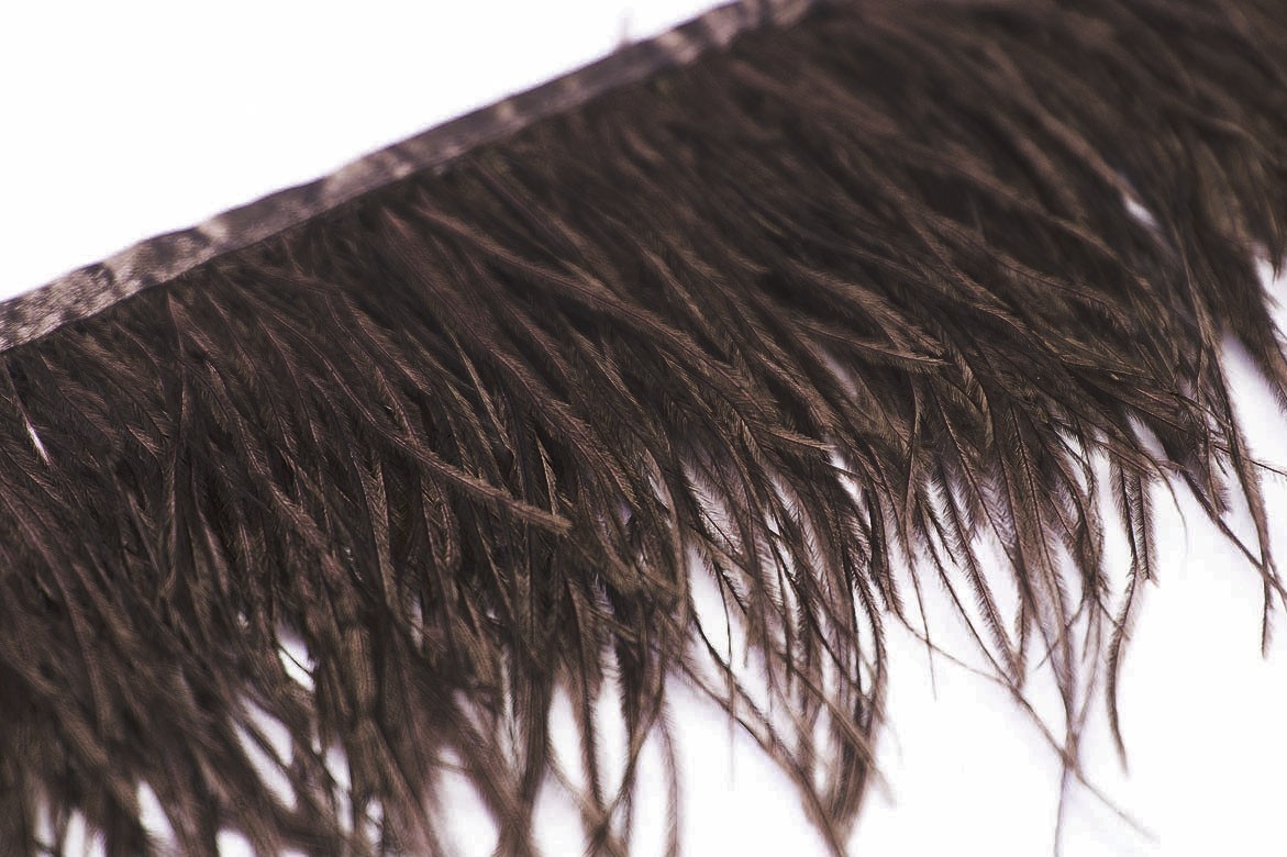 коричневые перья, купить перья страуса на ленте спб, перья для платья, перья для юбки, перья для окантовки, купить коричневые перья, страусиные перья, перья для декора, перья для костюма