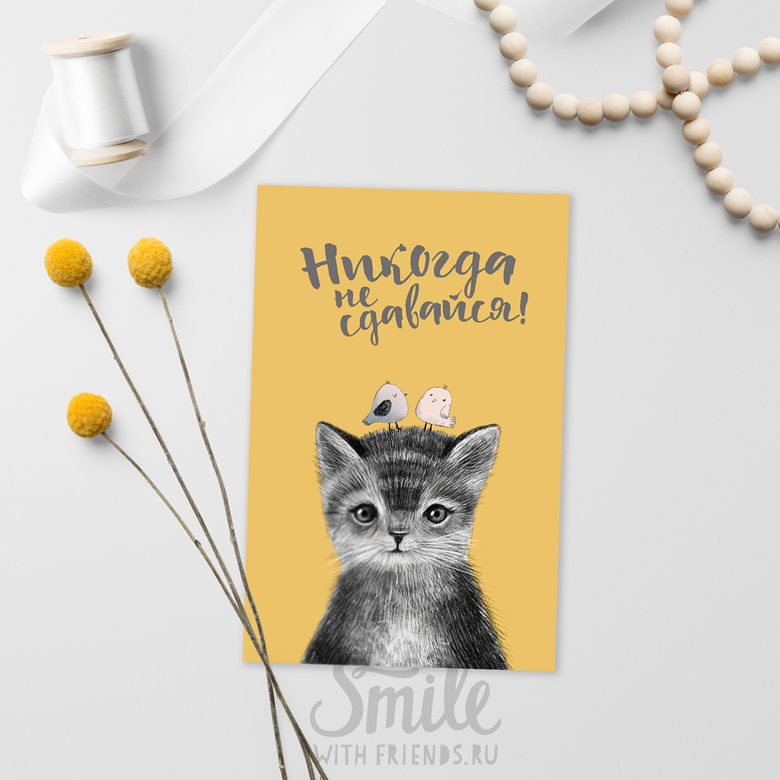Совет от котёнка - никогда не сдавайся - открытка