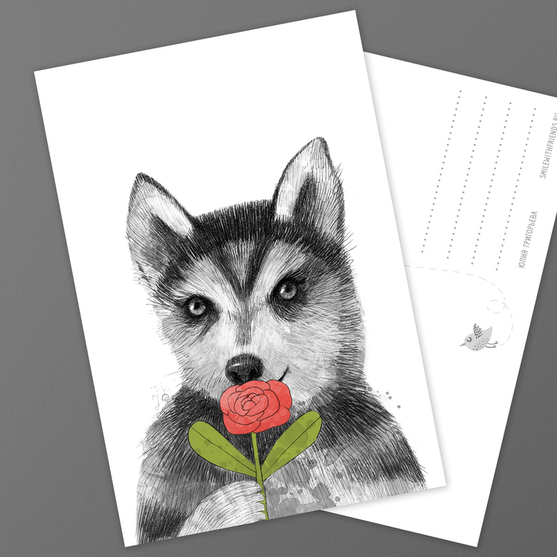 Малыш хаски - открытка