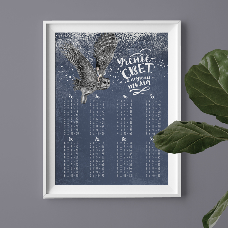 Таблица умножения - мальчик на сове - постер