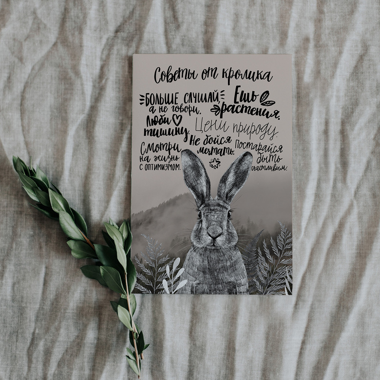 Советы от кролика - открытка
