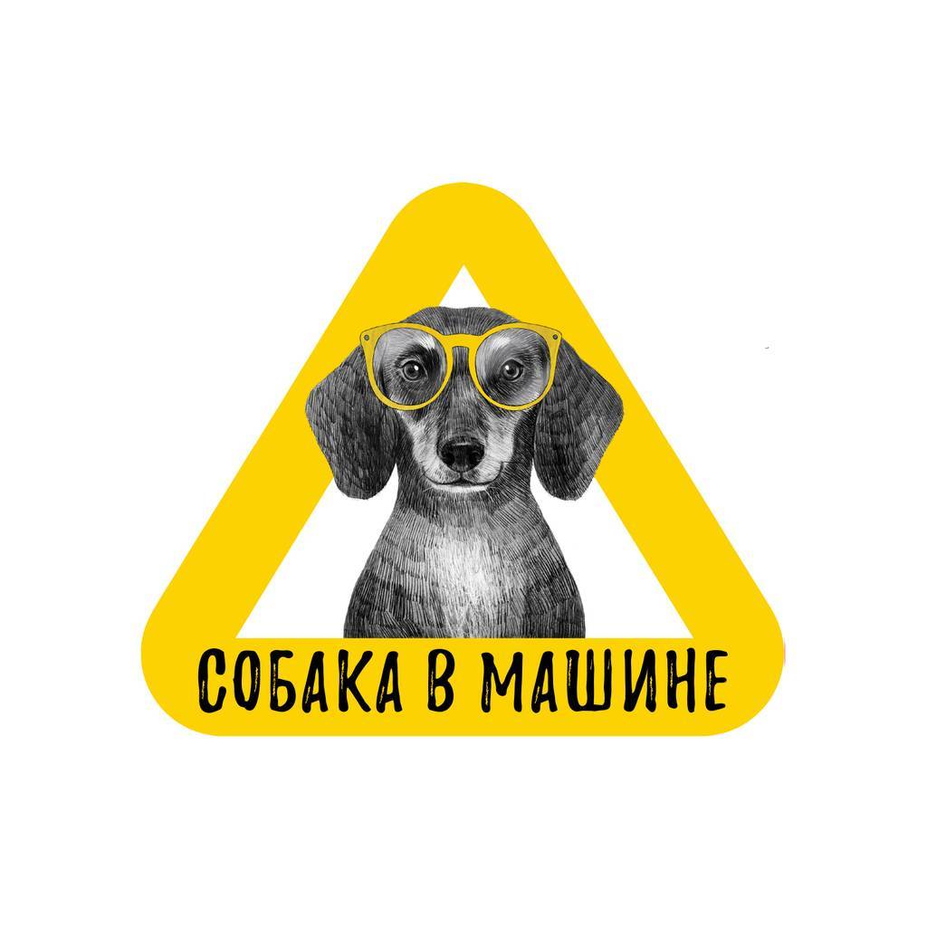 Стикер на машину - собака в машине - такса - желтый