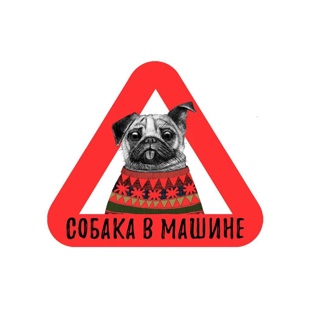 Стикер на машину - собака в машине - мопс - красный