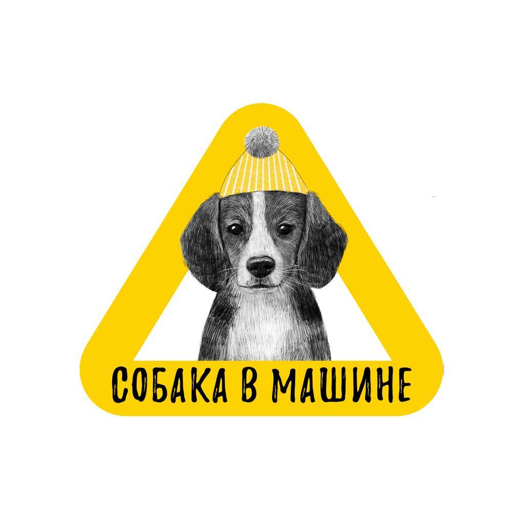 Стикер на машину - собака в машине - бигль - жёлтый
