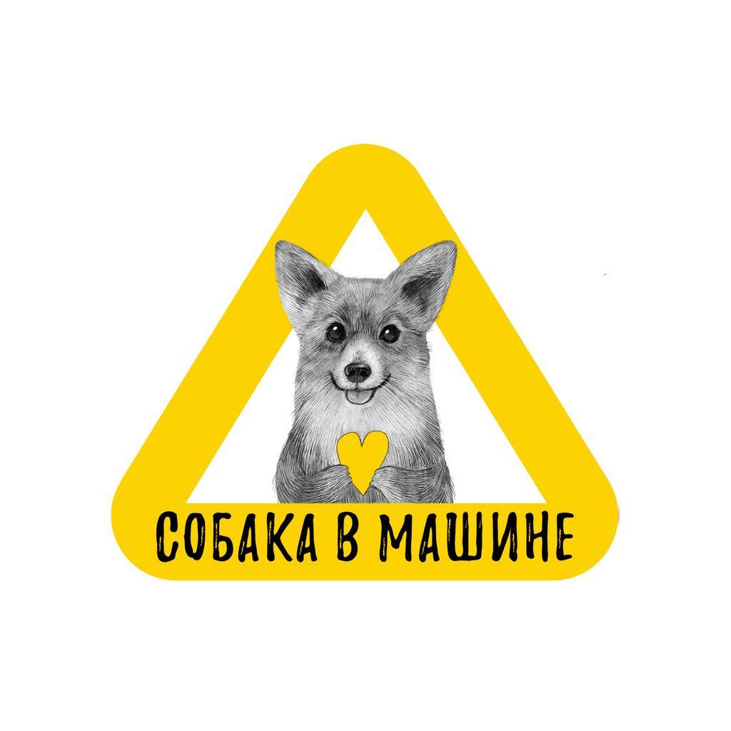 Стикер на машину - собака в машине - корги - жёлтый